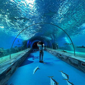Why Is The Georgia Aquarium Tunnel So Popular-Leyu Acrylic Sheet Products Factory
