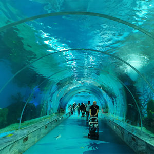 Leyu Acrylic Tank You on A Walk Through The Aquarium Tunnel-Leyu Acrylic Sheet Products Factory
