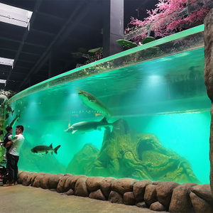 Is Oceanarium Popular with Tourists in Chicago-Leyu Acrylic Sheet Products Factory