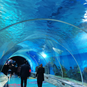 Acrylic Sheets for Manufacturing Underwater Tunnel Aquariums - Leyu Acrylic Sheet Products Factory