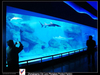 What are oceanarium near me Acrylic Aquarium - Leyu