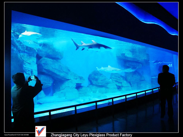 &iquest;Imakunan kanku oceanarium qayllaypi Acuario Acr&iacute;lico - Leyu