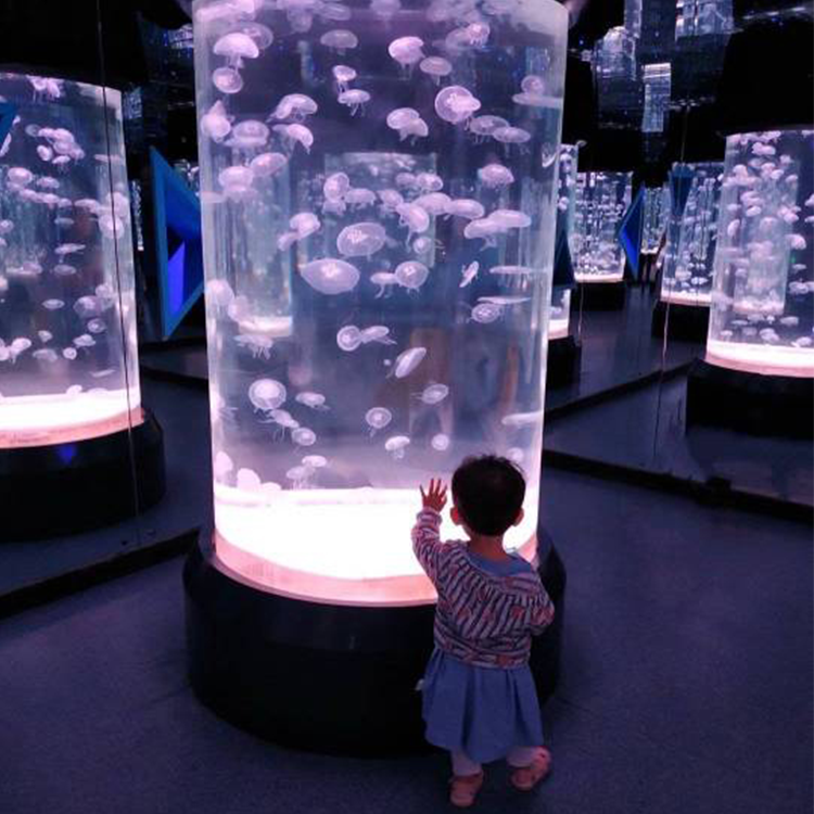 Jellyfish aquarium - Leyu