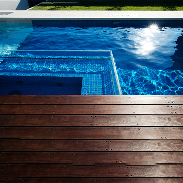 To Show You The Characteristics of 4 Side Acrylic Swimming Pools-leyu Acrylic Factory