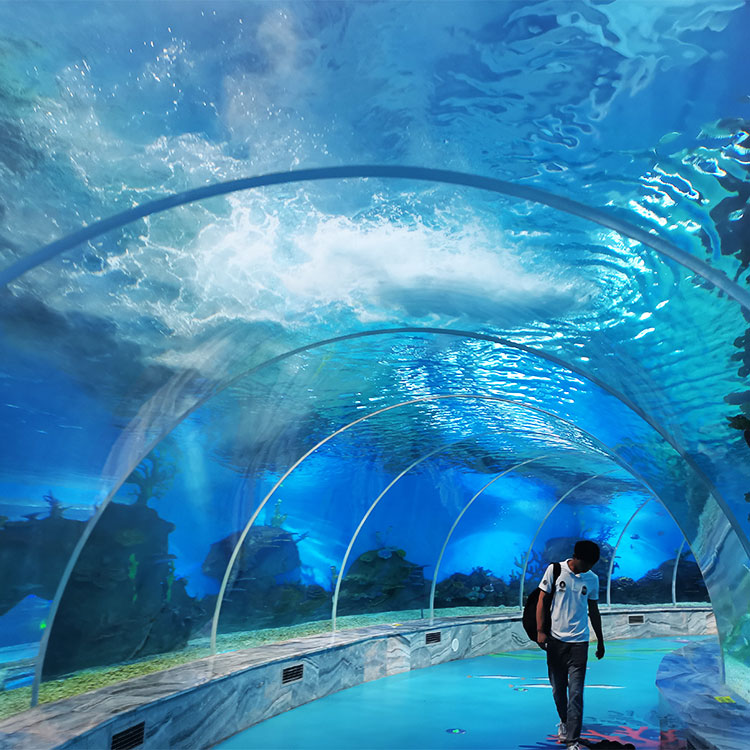 What are the features of the tunnel aquarium in bangalore-Leyu acrylic sheet products factory