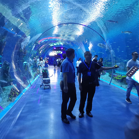2024 Hot Sale Acrylic Tunnel Aquarium Fish Tank-Leyu Acrylic Sheet Products Factory