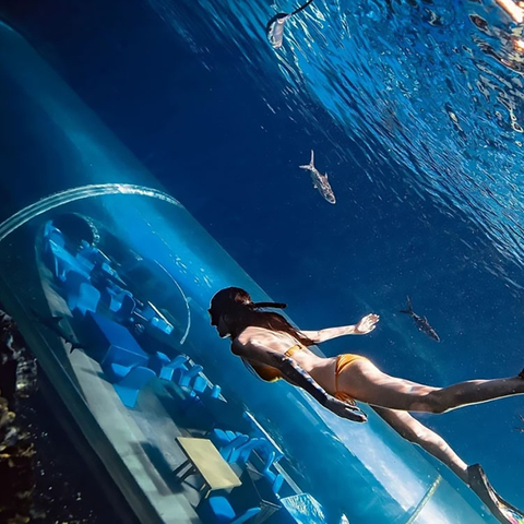 The beautiful aquarium large acrylic tunnel-Leyu Acrylic Sheet Products Factory