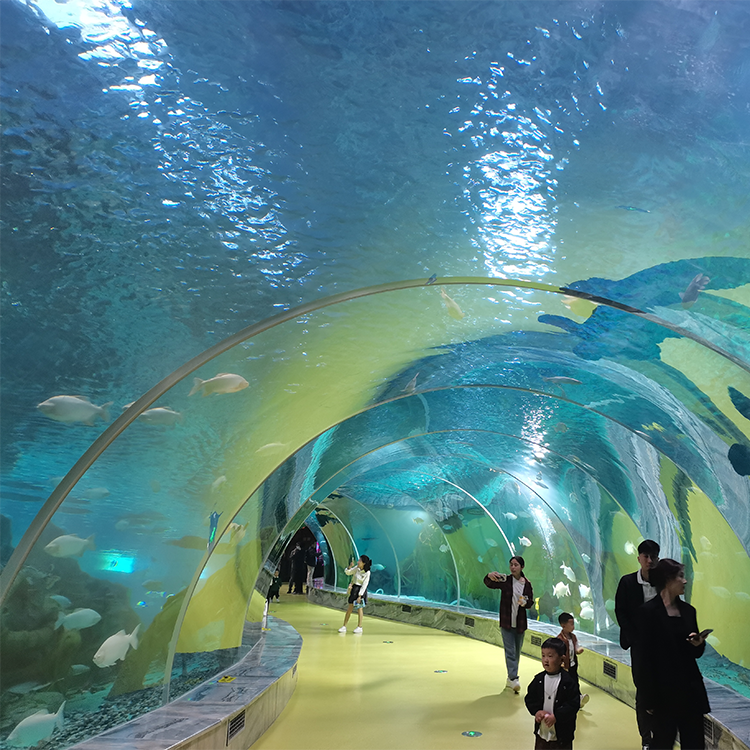 Explore The Ocean World Oceanarium And Education Center-leyu Acrylic Factory