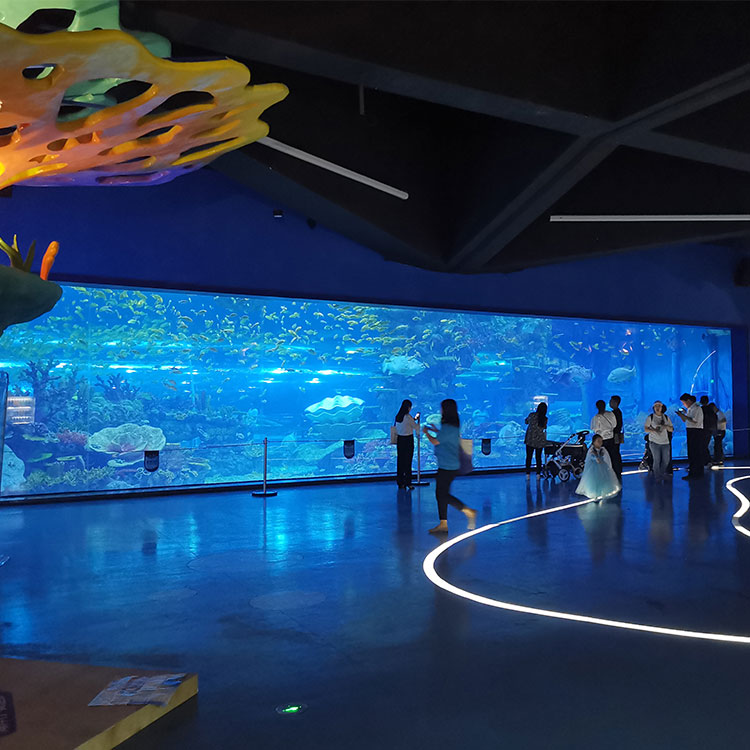 Acrylic window aquarium - factory