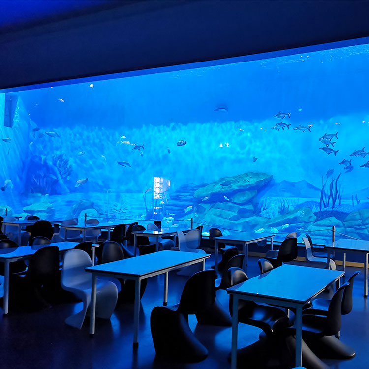 Leyu acryic tell you What are the benefits to make ocean aquariums by acrylic panel - Leyu Acrylic Sheet Products Factory