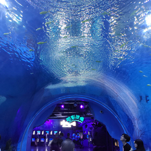 Transparent acrylic glass Tunnel aquarium - Leyu Acrylic Sheet Products Factory