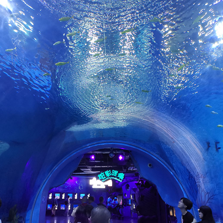 Wer hat das längste Unterwassertunnelaquarium in den USA – Leyu Acrylic Sheet Products Factory