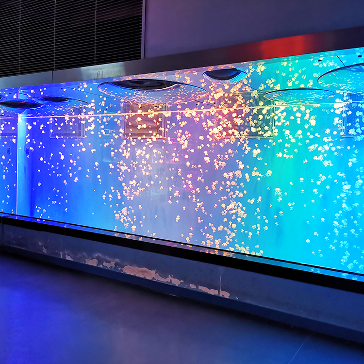 Acrylic jellyfish tank - LEYU