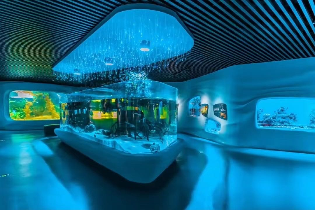 Acrylic fish tank - LEYU