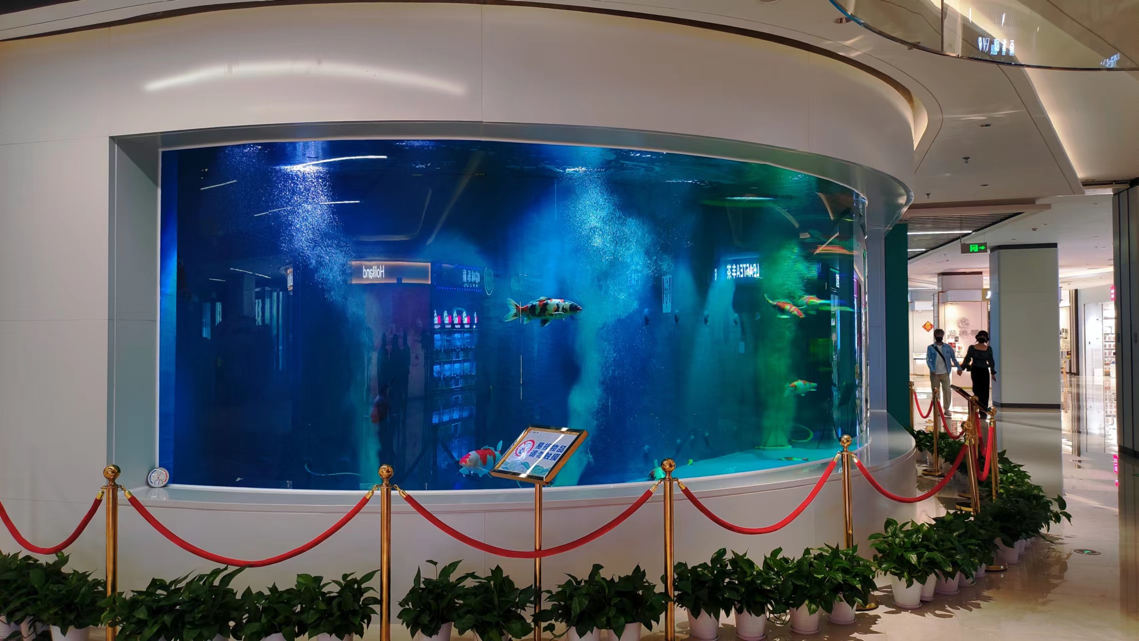 Acrylic window aquarium panel - LEYU