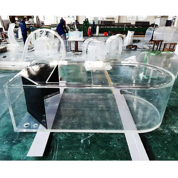  Why is my fish tank cloudy after 1 day Leyu Acrylic factory for your answer - leyu