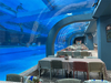 Large Ultra Clear Curved Oceanarium Aquarium Tank Acrylics Glass Tunnel Leyu acrylic aquarium factory - Leyu 
