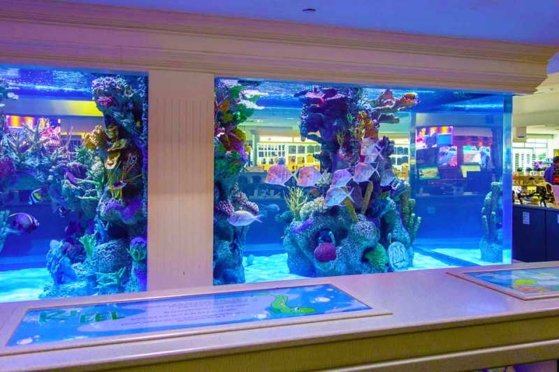 Acrylic custom fish tank - installation