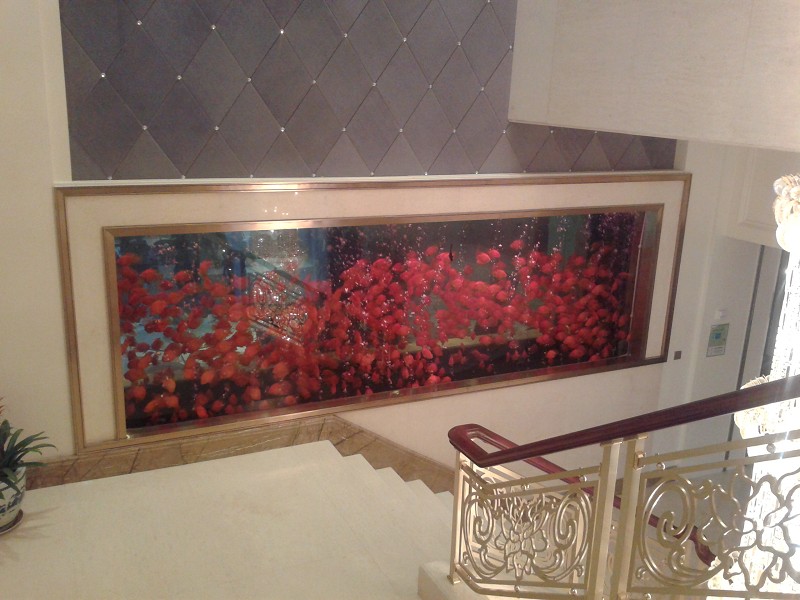 Acrylic custom fish tank - factory