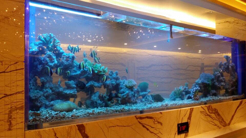 Acrylic custom fish tank - factory