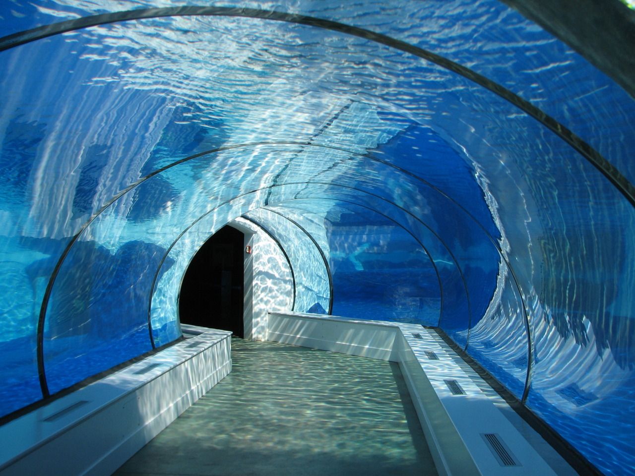 Acrylic tunnel aquarium - factory