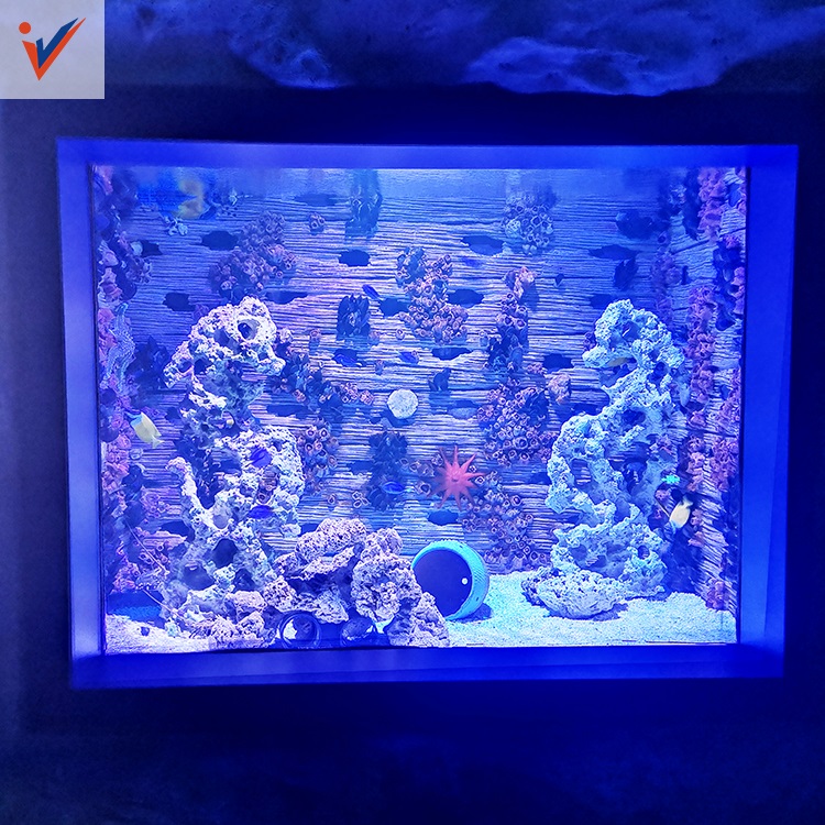 Custom Acrylic View Window For Aquarium