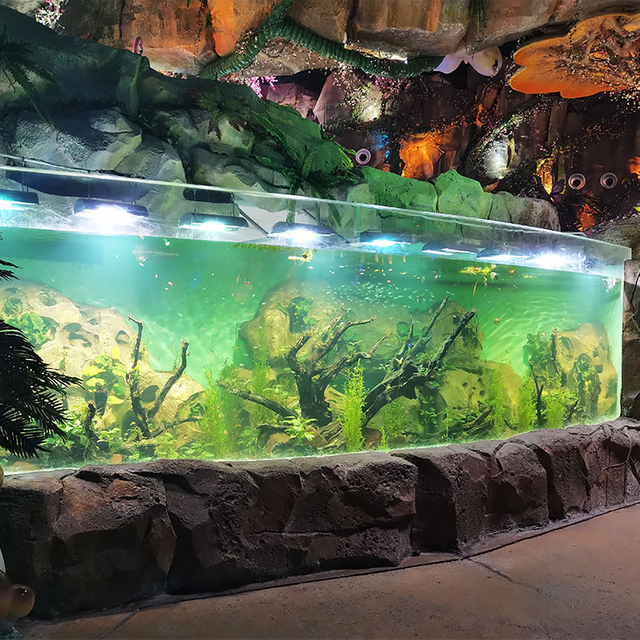 Aquarium Engineering Acrylic engineering Acrylic Design24 hours Service Factory Cheap - LEYU