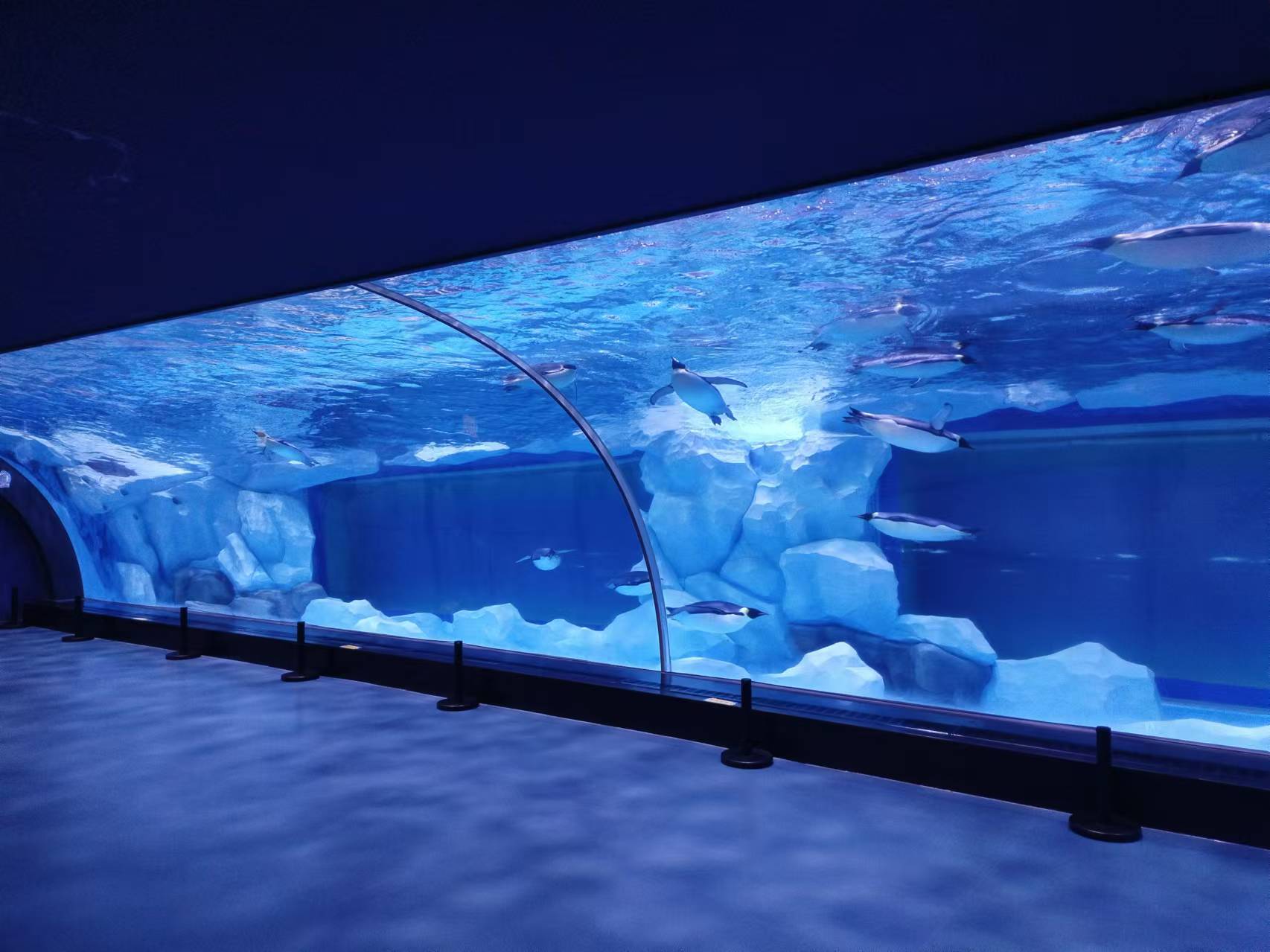 Acrylic window aquarium panel - LEYU