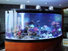 We can provide large aquarium acrylic fish tank production and installation - Leyu