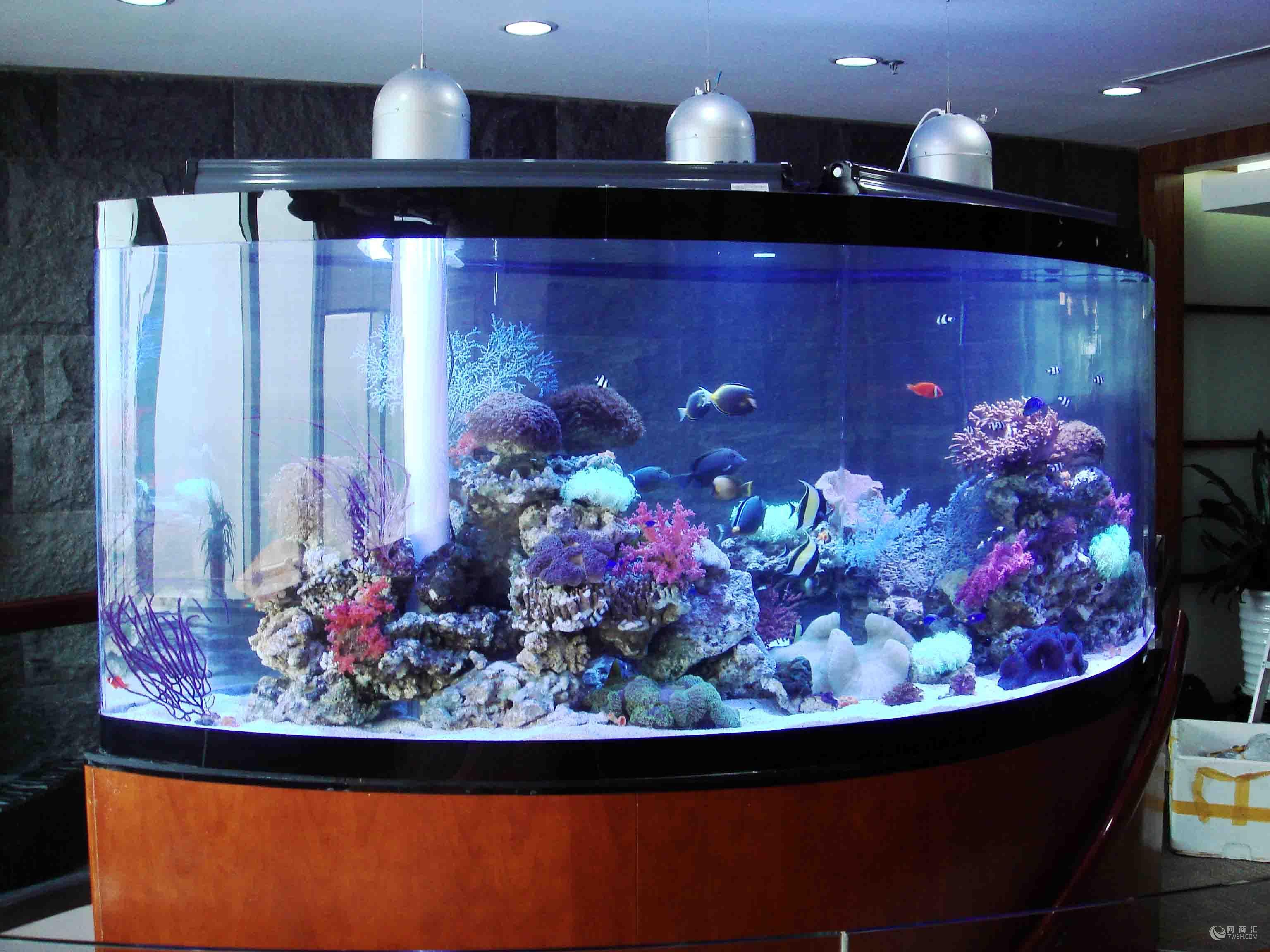 We can provide large aquarium acrylic fish tank production and installation - Leyu