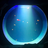 Jellyfish Aquarium Tank  discovery Freshwater Jellyfish Aquarium - leyu