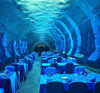 What aquarium has an underwater tunnel Leyu Factory sells acrylic underwater tunnels- Leyu 