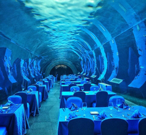 Can an acrylic water feature restaurant be built underwater- Leyu acrylic pools for sale