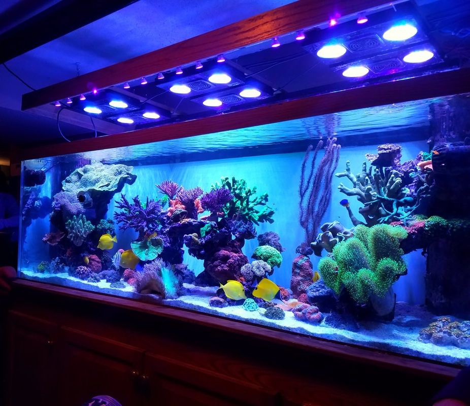 Acrylic tank-LEYU