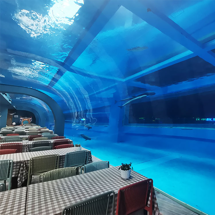 Acrylic window aquarium - LEYU