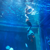 Acrylic panel can be used for viewing panels, large aquariums, swimming pool - leyu acrylic