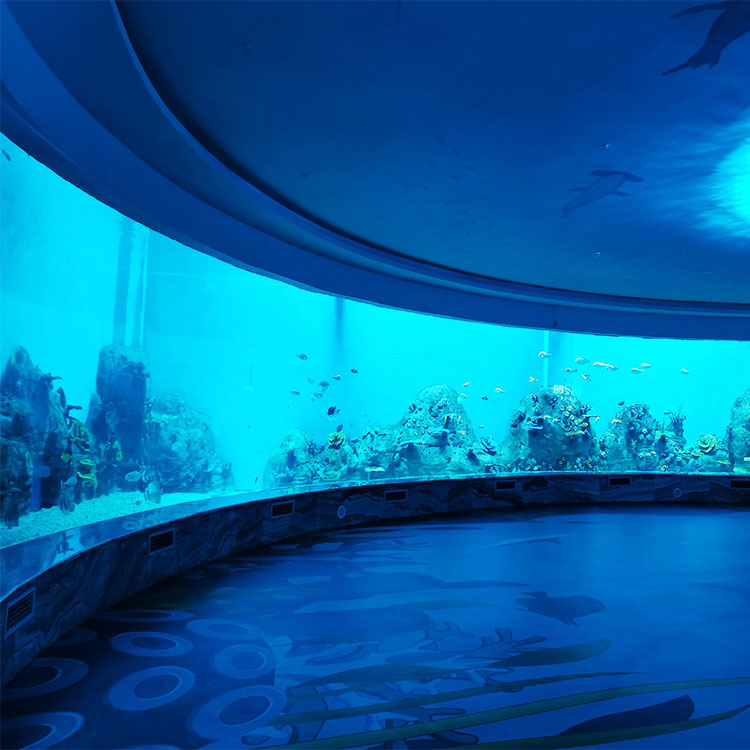 Acrylic window aquarium - factory