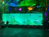 What Type of Acrylic is Used For Aquariums? - Leyu