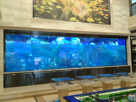Transparent large acrylic aquarium fish tank for sale - Leyu