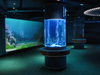 Large Cylinder Acrylic Aquarium fish tanks Factory - leyu