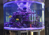 Custom Acrylic Aquarium by the Leyu acrylic aquarium factory - Leyu 