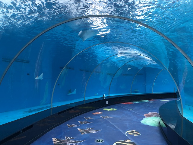 aquarium tunnels like tunnel aquarium bangalore can be manufactured by the Leyu factory - Leyu