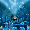 360 Aquarium Tunnel Polar Ocean World - Leyu