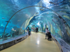 Surface scratch repair on Fish Tunnel For Aquarium - Leyu Acrylic Sheet Products Factory