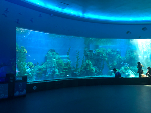  Large Aquarium Acrylic Window Panels - LEYU