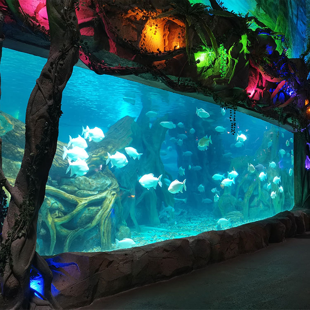 Professional factory customized acrylic aquarium panels of any size in ocean park - Leyu 