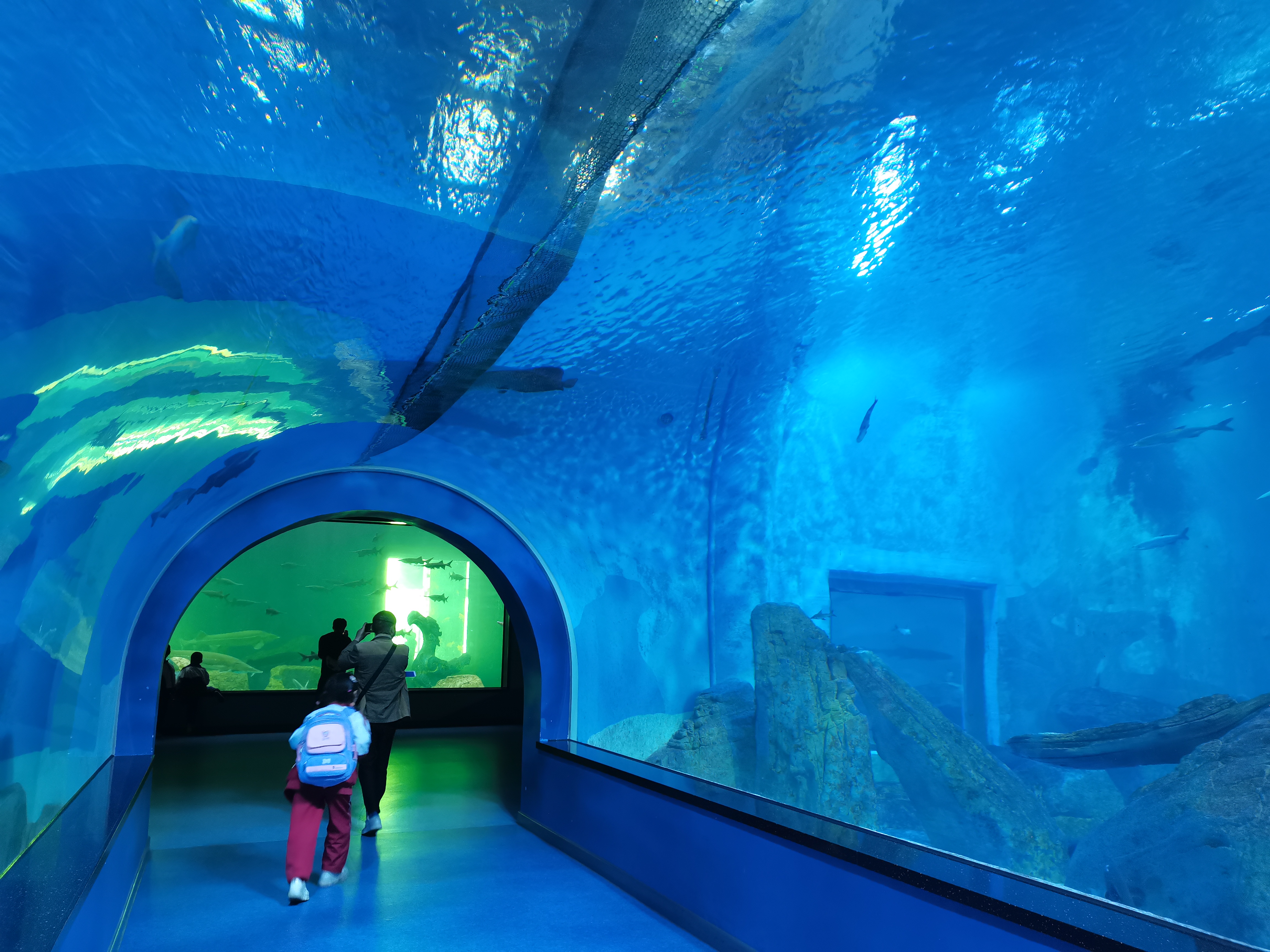 Acrylic tunnel aquarium - LEYU ACRYLIC
