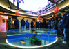What Type of Acrylic is Used For Aquariums? - Leyu