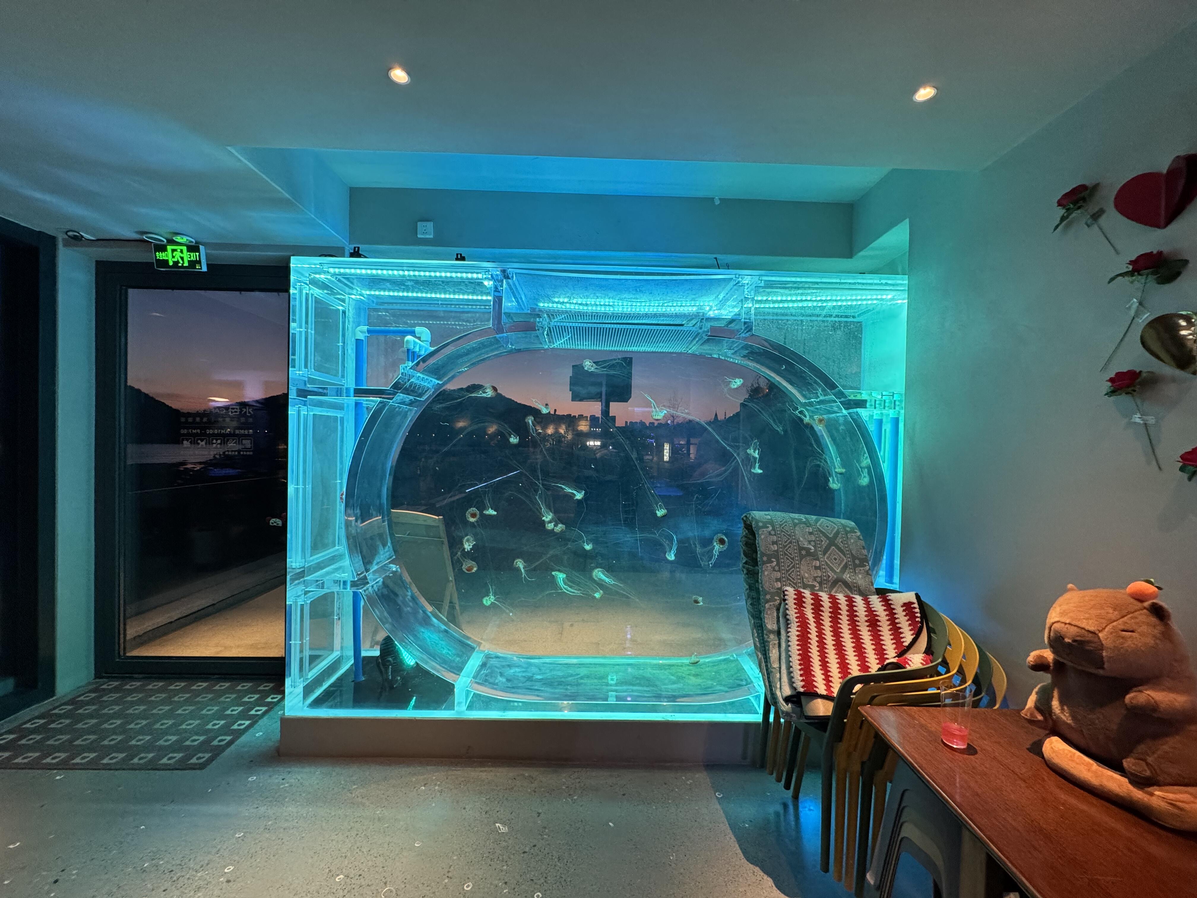 Acrylic fish tank aquarium