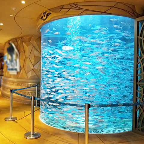  Commercial Acrylic Fish Aquarium: Your Complete Guide - Leyu 